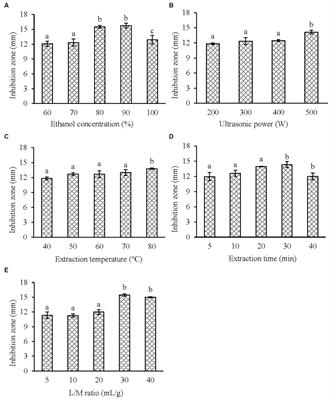 Ultrasonic-assisted extraction, anti-biofilm activity, and mechanism of action of Ku Shen (Sophorae Flavescentis Radix) extracts against Vibrio parahaemolyticus